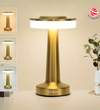 Electroplated Metal Lamp Body