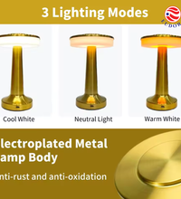 Electroplated Metal Lamp Body